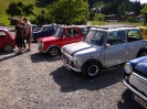 Vorarlberg Treffen 2009